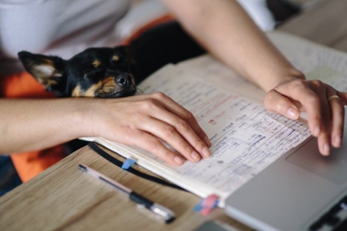 Letter cover write examples zety job blog Letter cover write examples zety job blog